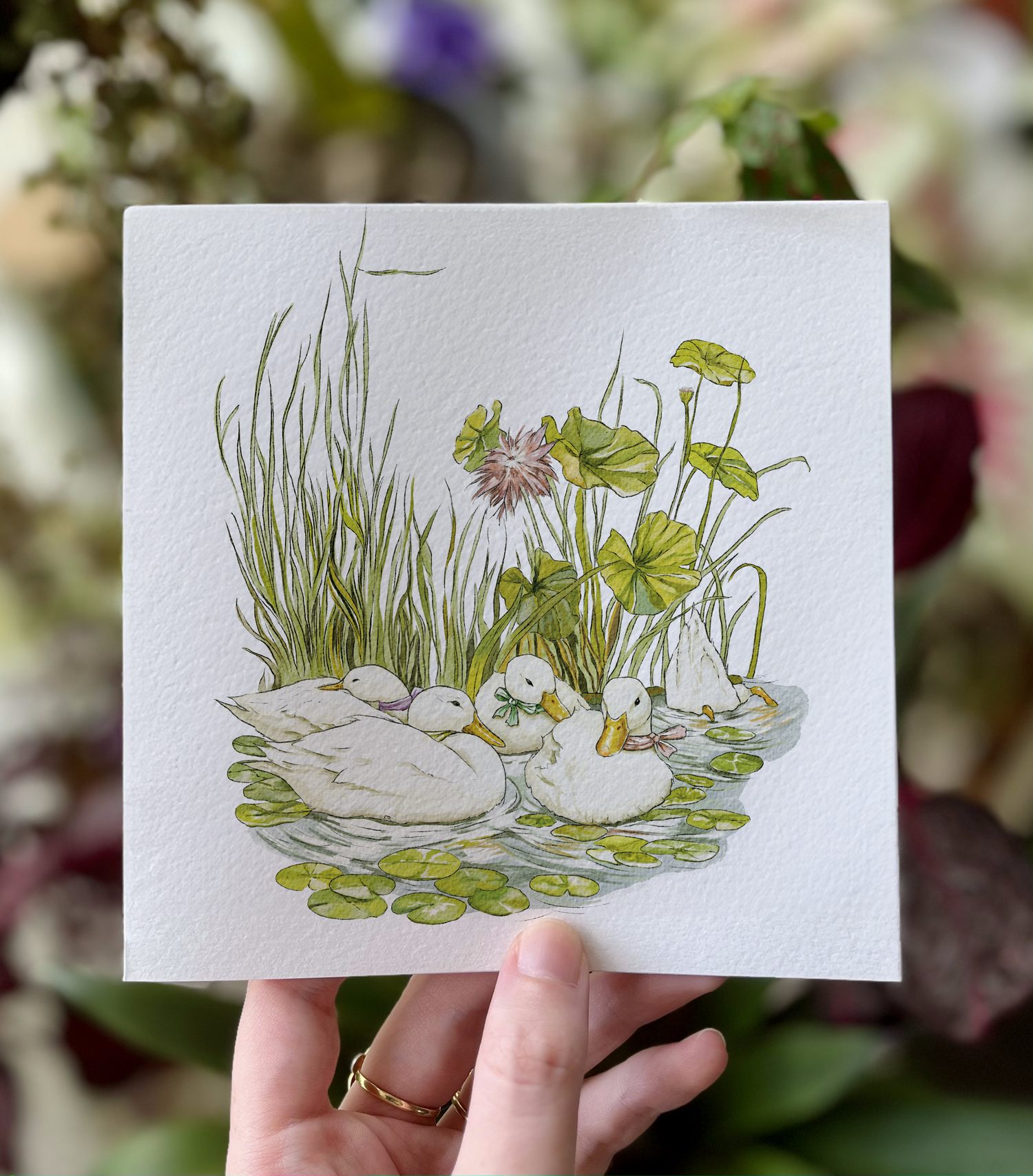 Greeting Cards
