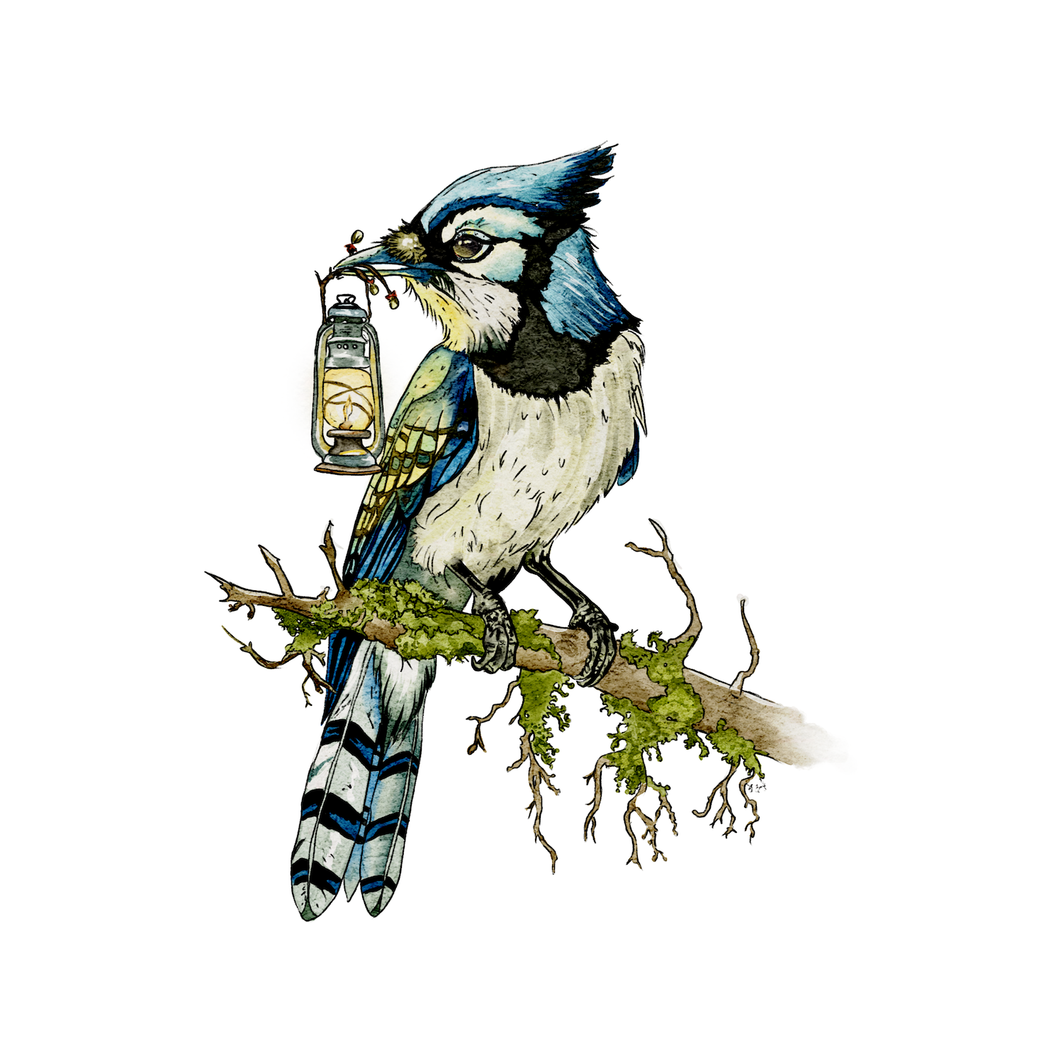 Whimsical watercolor illustration of a blue bird holding a lantern, created by Julia Hope, blending nature-inspired storytelling with gentle, storybook charm.