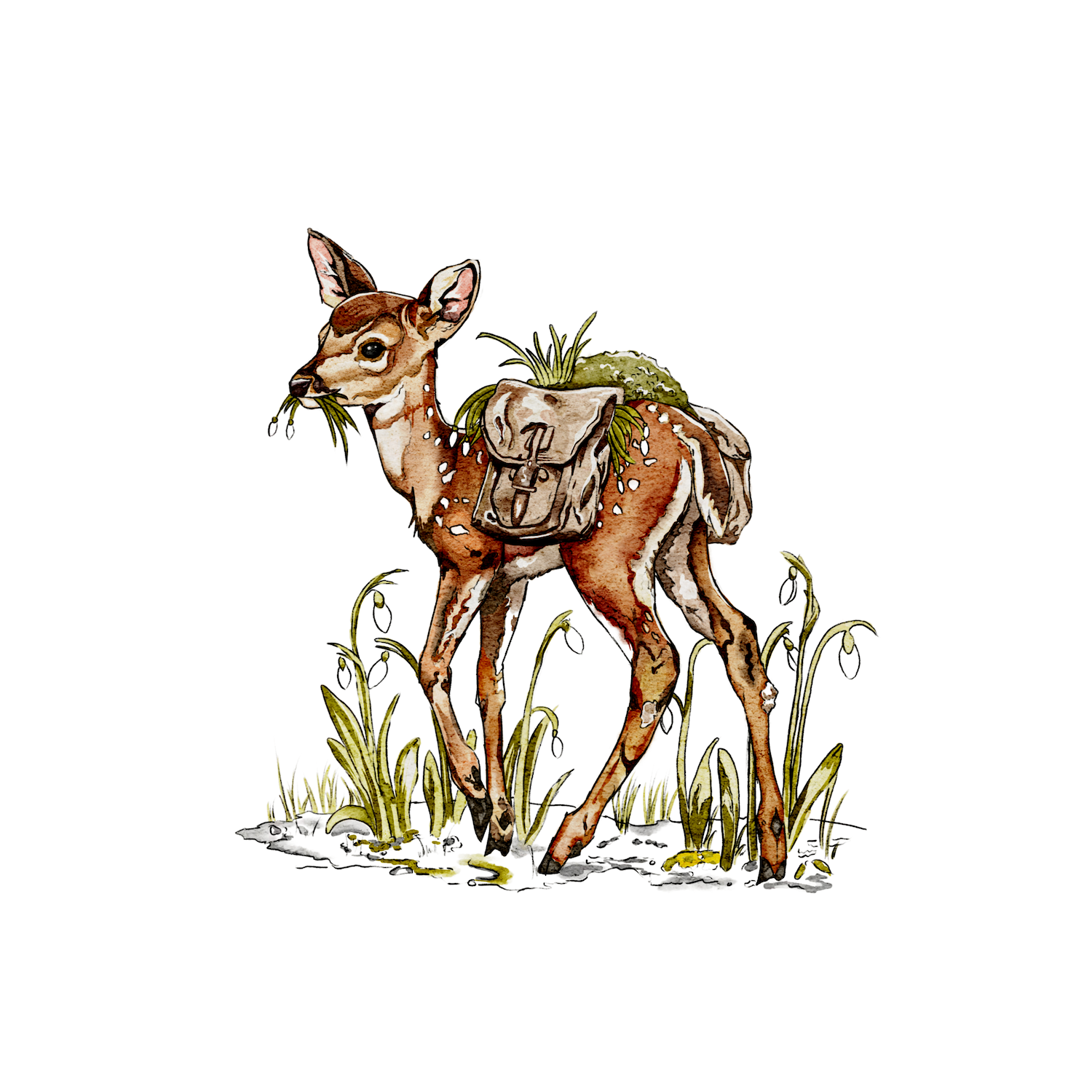 Whimsical watercolor illustration of a deer by Julia Hope, inspired by nature and classic storybook art.